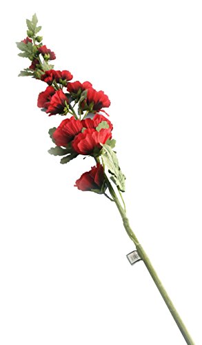 Closer 2 Nature F073RL Floral Elegance, Stockrose, 118 cm, Einzelstamm, rot von Closer 2 Nature