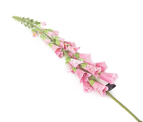 Closer 2 Nature F082RL Floral Elegance, Künstlicher Fingerhut, 84 cm, Einzelstamm, rosa von Closer 2 Nature