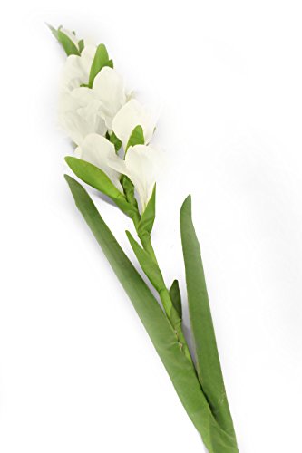 Closer 2 Nature künstliche Blumen Floral Elegance, Gladiole, 118 cm, weiß von Closer 2 Nature