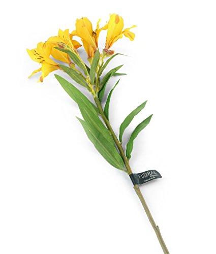 Closer 2 Nature künstliche Blumen Floral Elegance, Inkalilie, 74 cm, gelb von Closer 2 Nature