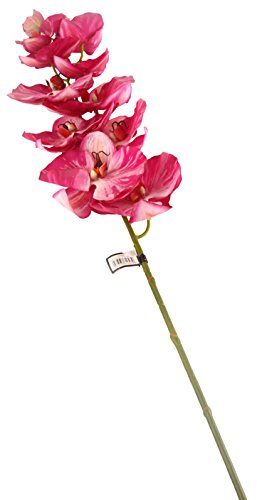 Closer 2 Nature künstliche Blumen Floral Elegance, Phalaenopsis Orchidee 109 cm, rosa/magenta von Closer 2 Nature
