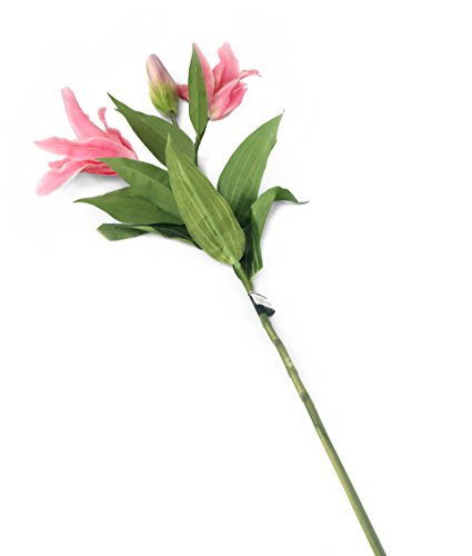 Closer 2 Nature künstliche Blumen Floral Elegance Orientalische Lilie, 87 cm, rosa von Closer 2 Nature