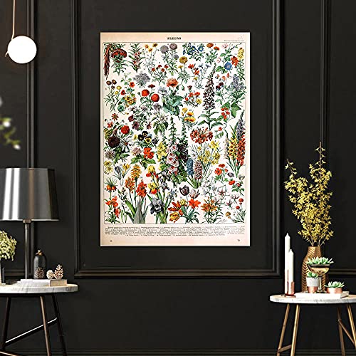 Vintage abstrakte Pflanzen Tiere Poster Französisch Maler Adolphe Millot Gemäldewerk Gemäldedrucke Tier Wand Bilder Bild Bauernhaus Büro Wand Dekor Leinwand Gemälde G07068 30x40cm/Kein Rahmen von CloudShang