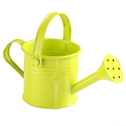 Garten Kleine Wasser Spritzen Topf Blume Wasserkocher Metall Gießkanne Bestreut(Light Green) von Cloudpower