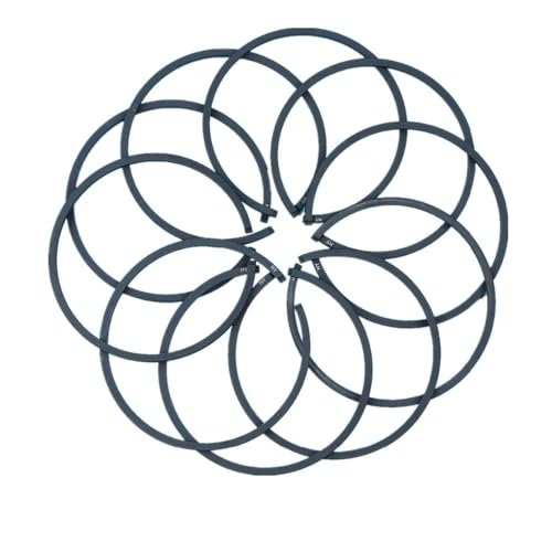 Clynex 10-teiliges Kolbenring-Set, for PARTNER 350 351 352 Kettensäge, Kolben mit 41 mm Bohrung Kettensägen-Kolbenring Clynex 10-teiliges Kolbenring-Set, for PARTNER 350 351 352 Kettensäge, Kolben mit 41 mm Bohrung Kettensägen-Kolbenring von Clynex