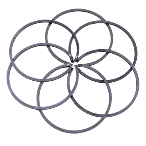 Clynex 6 Stück Kettensägenkolbenringe 42,5 mm x 1,2 mm, for MS250 025 MS 250 Ersatzteil 1123 034 3006 Kettensäge Kettensägen-Kolbenring Clynex 6 Stück Kettensägenkolbenringe 42,5 mm x 1,2 mm, for MS250 025 MS 250 Ersatzteil 1123 034 3006 Kettensäge Kettensägen-Kolbenring von Clynex