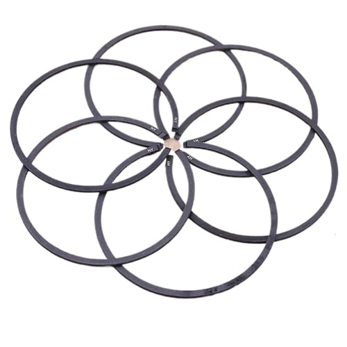 Clynex 6 Stück Kolbenringsatz 50 mm x 1,5 mm, for Husqvarna 61 266 268 272 365 372 371 362, for 038 SW 038 FB 044 MS440 Kettensägenteile Kettensägen-Kolbenring Clynex 6 Stück Kolbenringsatz 50 mm x 1,5 mm, for Husqvarna 61 266 268 272 365 372 371 362, for 038 SW 038 FB 044 MS440 Kettensägenteile Kettensägen-Kolbenring von Clynex