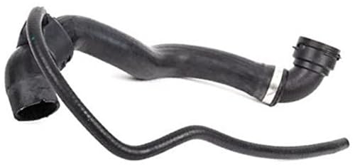 Clynex for, W215 W220 CL55 AMG CL500 S430 S55AMG, 2205010182 A2205010182 Oberer Kühlerkühlmittelschlauch Clynex for, W215 W220 CL55 AMG CL500 S430 S55AMG, 2205010182 A2205010182 Oberer Kühlerkühlmittelschlauch von Clynex