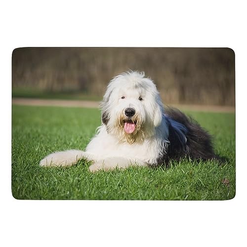 Cmagnifico Carpet Old English Sheepdog Teppich, weiche Bodenmatte für Wohnzimmer, Schlafzimmer (100 x 150 cm) von Cmagnifico