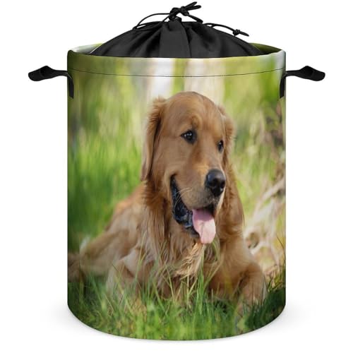 Cmagnifico Wäschesammler mit Kordelzug, Hund Golden Retriever Wäschekorb, Wäschekorb mit Griff von Cmagnifico