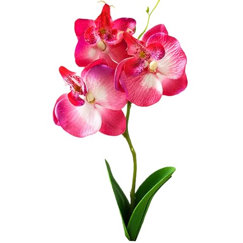 Gefälschte Orchidee 11 Seidenorchideen künstliche Blumen leicht zu sorgen für Faux Orchide Real Touch Fade-resistenter Faux Phalaenopsis Geeignet für Home Office Decor Vase Tischdekorationen Stil 1 von Cndiyald