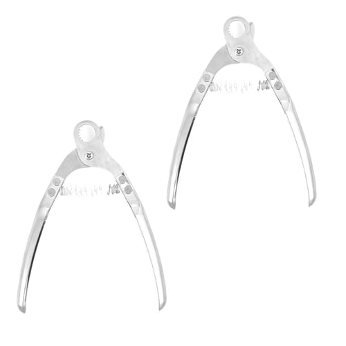 2 Stück Edelstahl Schneckenschere mit bequemem Griff für Meeresfrüchtezubereitung Ergonomischer Griff Cutter Tragbares Meeresfrüchtewerkzeug von Cnrfeoap