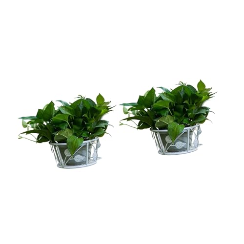 Cnrfeoap 2 Stück schwere Art stabile Eisen Blumentöpfe Halter Platzsparende Gartendekoration Regal für Pflanzendekoration Multifunktionaler Balkon Lagerregal von Cnrfeoap