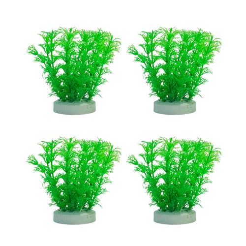 Cnrfeoap Aquarium-Landschaft, Gras, Aquarien, Dekoration, Kunst, Terrarium, Lebensraum, Ornamente, Foto-Requisiten, Heim-Aquarium-Dekorationen Cnrfeoap Aquarium-Landschaft, Gras, Aquarien, Dekoration, Kunst, Terrarium, Lebensraum, Ornamente, Foto-Requisiten, Heim-Aquarium-Dekorationen von Cnrfeoap