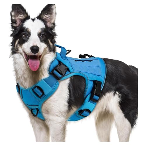 Escape Proof Haustierkabelbaum Mit Verstärkten Schnallen Bequemer Polsterbrustgurt Für Kleine Bis Große Hund Täglich Training Hundekabelbaum Für Verschiedene Rassen Escape Proof Haustierkabelbaum Mit Verstärkten Schnallen Bequemer Polsterbrustgurt Für Kleine Bis Große Hund Täglich Training Hundekabelbaum Für Verschiedene Rassen von Cnrfeoap