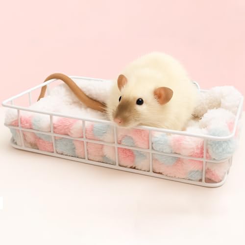 Rattenkäfig-Zubehör, Plattformbett mit Decke, Metall und weichem Polster, Hängematte für kleine Haustiere, kaufest, Habitat, Spielzeug, für Meerschweinchen, Chinchillas, Zuckergleiter, Hamster Rattenkäfig-Zubehör, Plattformbett mit Decke, Metall und weichem Polster, Hängematte für kleine Haustiere, kaufest, Habitat, Spielzeug, für Meerschweinchen, Chinchillas, Zuckergleiter, Hamster von Coalinker