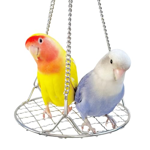 Vogelschaukel Spielzeug Edelstahl Sittich Schaukel Sitzstange für Kleine Vögel Papagei Spielzeug Hängende Vogelkäfig Zubehör zum Balancetraining für Wellensittiche, Papageien, Spatzen Vogelschaukel Spielzeug Edelstahl Sittich Schaukel Sitzstange für Kleine Vögel Papagei Spielzeug Hängende Vogelkäfig Zubehör zum Balancetraining für Wellensittiche, Papageien, Spatzen von Coalinker