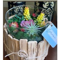 Küsten-Sukkulenten-Mittelstück, Glasgefäß Mit Sukkulenten, Küsten-Treibholz-Vase Und Sukkulenten, Sukkulenten-Tischdekor, Zähler Dekorationsideen von CoastalEleganceCo