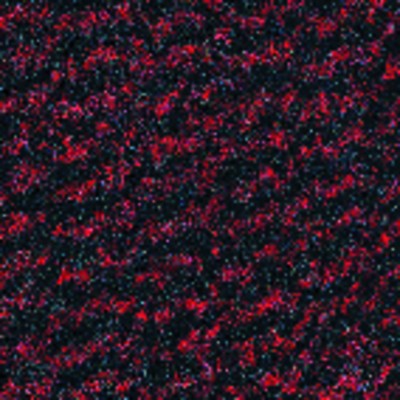 Schmutzfangmatte 0.60 x 0.90m, schwarz/rot Schmutzfangmatte 0.60 x 0.90m, schwarz/rot von Coba