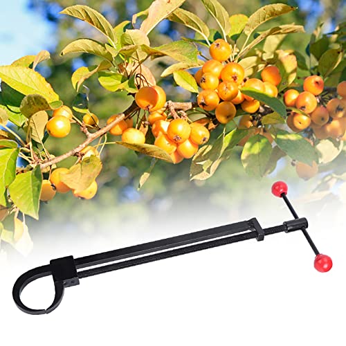 Cocoarm Baumzweig Bender Bonsai Trunk -Einsteller Garten Bonsai Modulator Schmiertes Stahl -Werkzeug mit Kugelförmiger Rotation Einfache Installation für Enthusiasten Garden Cocoarm Baumzweig Bender Bonsai Trunk -Einsteller Garten Bonsai Modulator Schmiertes Stahl -Werkzeug mit Kugelförmiger Rotation Einfache Installation für Enthusiasten Garden von Cocoarm