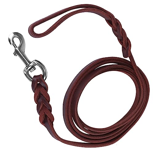 Cocoarm Bleiriemen für Haustiere mit Hummerverschluss, Bessere Kontrolle und Besseres Training (Materiallänge 2 Meter 5 Netzlänge etwa 2 Meter 1) von Cocoarm