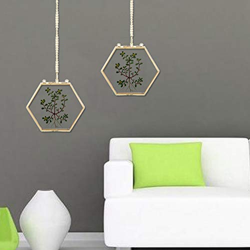 Cocoarm Geometrisches Hexagonales Glas Bilderrahmen Getrocknete Blütenpflanze-Probe-Displayhalter Gold 4,1 X 4,7 Zoll mit Sicheren Schätzen, Multi-Room-Anwendung für Einfache Wanddekoration Cocoarm Geometrisches Hexagonales Glas Bilderrahmen Getrocknete Blütenpflanze-Probe-Displayhalter Gold 4,1 X 4,7 Zoll mit Sicheren Schätzen, Multi-Room-Anwendung für Einfache Wanddekoration von Cocoarm