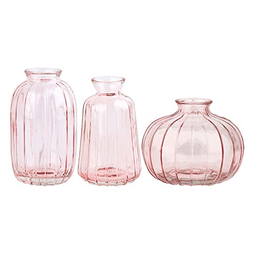 Cocoarm Glas Blumenvasen Set 3er, Set Dekorative Vasen für Blumen mit kleinen Öffnungen in Blau Grün Grau Gold Weiß für Tischdekoration Geschenkideen (2) von Cocoarm