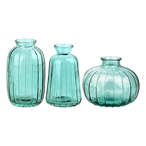 Cocoarm Glas Blumenvasen Set 3er, Set Dekorative Vasen für Blumen mit kleinen Öffnungen in Blau Grün Grau Gold Weiß für Tischdekoration Geschenkideen (4) von Cocoarm