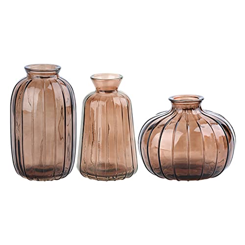Cocoarm Glas Blumenvasen Set 3er, Set Dekorative Vasen für Blumen mit kleinen Öffnungen in Blau Grün Grau Gold Weiß für Tischdekoration Geschenkideen (5) von Cocoarm
