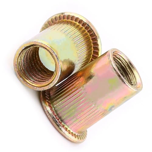 Cocoarm M3-M12 Zinkplattierte Kohlenstoffstahl Flat Head Nietmuttern Förderkit mit Offenem Ende Kleiner Flansch für Automatische Reparaturwerkz (M6 (100 Stück/Paket)) von Cocoarm