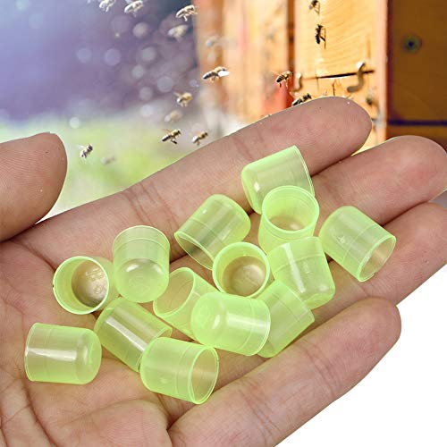 Cocoarm Queen Cell Cups Plastikkönigin Königin Tassen Bienenzucht Königin Aufzuchtsystem 1000 Stück Grün für Imker mit Leichtem Gebrauch Langlebig Cocoarm Queen Cell Cups Plastikkönigin Königin Tassen Bienenzucht Königin Aufzuchtsystem 1000 Stück Grün für Imker mit Leichtem Gebrauch Langlebig von Cocoarm