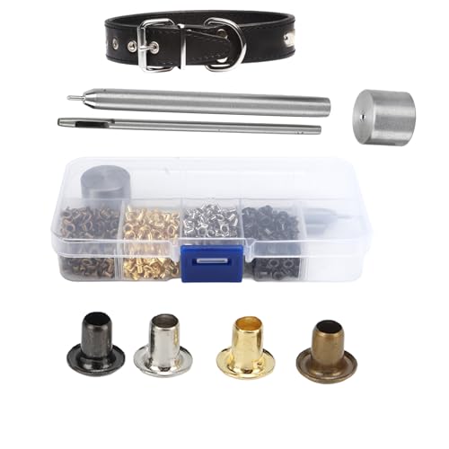 Cocoarm Shoelaces -Gurte TROMMET -Kit, 2 Mm 800pcs, Plattierte Kupfermetall -Ösen mit Installationswerkzeug und Plastik -Aufbewahrungsbox für Kunsthandwerk und Lederarbeit Cocoarm Shoelaces -Gurte TROMMET -Kit, 2 Mm 800pcs, Plattierte Kupfermetall -Ösen mit Installationswerkzeug und Plastik -Aufbewahrungsbox für Kunsthandwerk und Lederarbeit von Cocoarm