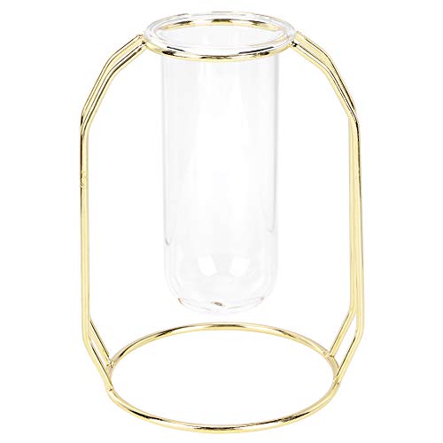Cocoarm Stylish Wohnkultur, Transparente Belüftung, Moderne ästhetische Glasvase mit Edelstahlrahmen für Scindapsus, Minze, Hydrokotyle Vulgaris Blumen (Gold) von Cocoarm