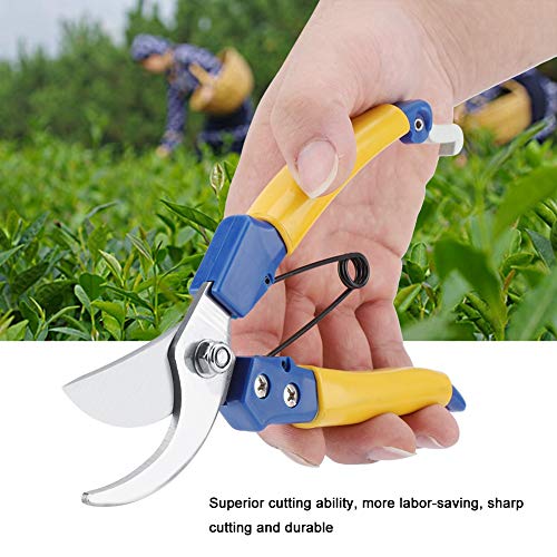 Cocoarm Überlegene Schneidfähigkeit, Ergonomisches Design, Robuste Edelstahl -Schnittschere mit PVC -Griff, Geeignet für Verschiedene Schnittaufgaben, Ideal für Bonsai, Obstbäume, Garten, Cocoarm Überlegene Schneidfähigkeit, Ergonomisches Design, Robuste Edelstahl -Schnittschere mit PVC -Griff, Geeignet für Verschiedene Schnittaufgaben, Ideal für Bonsai, Obstbäume, Garten, von Cocoarm