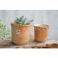 2Er Set Handbemalte Übertöpfe Aus Keramik von Coconutstudiopottery