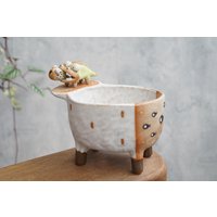 Blumentopf Mit Einem Krokodil, Zweifarbig, Kaktus, Keramik, Töpferware, Handgemacht von Coconutstudiopottery