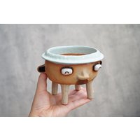 Sukkulenten Töpfe Keramik Planter Gesicht , Hut, Mustache, Polka Dot Sukkulenten Töpfe Keramik Planter Gesicht , Hut, Mustache, Polka Dot von Coconutstudiopottery