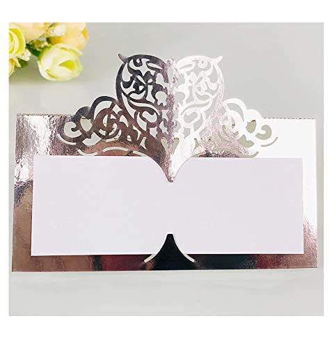 Codulu Tischkarten, ausgehöhlte Blumen, leere Namenskarten, gefaltete Sitzkarte, Zeltkarte für Hochzeit, Geburtstag, Party, Festival, reflektierend, silberfarben, 50 Stück Codulu Tischkarten, ausgehöhlte Blumen, leere Namenskarten, gefaltete Sitzkarte, Zeltkarte für Hochzeit, Geburtstag, Party, Festival, reflektierend, silberfarben, 50 Stück von Codulu