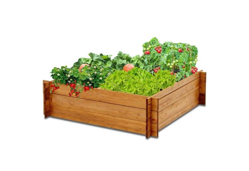 Coemo Hochbeet, Holz Gartenbeet 100x100x30 cm Gemüsebeet Kräuterbeet Pflanzkasten von Coemo