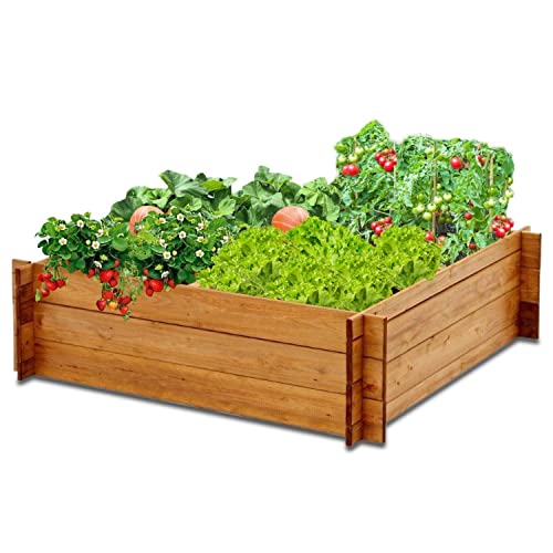 RIGA Hochbeet Holz Frühbeet - Starterset für den Garten - Pflanztrog, Bausatz für Gemüse, Kräuter Garten Terrasse von Coemo