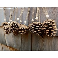 Weihnachten Pinecone Ornaments | 12 in Jeder Bestellung Enthalten - Christmas 1 Dutzend von CoffeeCreekCo