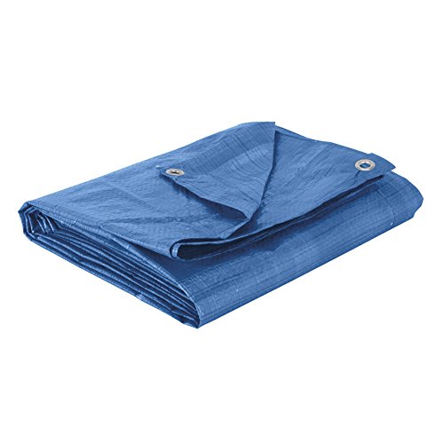 Cogex 82223 Plane, vielseitig einsetzbar, blau, 82223 von Cogex