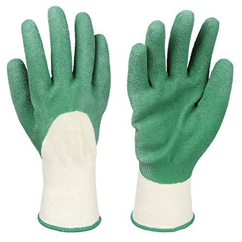 Cogex 90361 Schulhandschuhe, Polyester, Latexbeschichtung, Größe 9 von Cogex