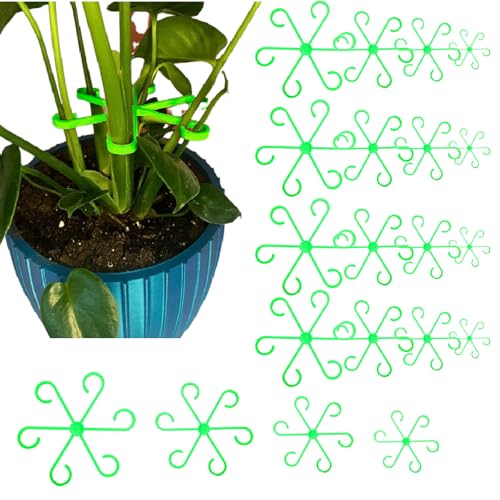 20 Stück Pflanzenstütze Staudenhalter Wiederverwendbarer Pflanzenstützen Ring Pflanzenklammern zur Unterstützung Mehrere Größen Garten Stützring Pflanzenhalter für Pflanzen Blume Tomaten 20 Stück Pflanzenstütze Staudenhalter Wiederverwendbarer Pflanzenstützen Ring Pflanzenklammern zur Unterstützung Mehrere Größen Garten Stützring Pflanzenhalter für Pflanzen Blume Tomaten von Cohentbliss
