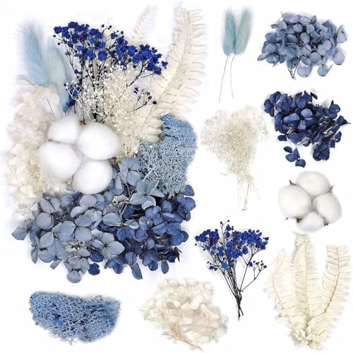 Natürliche getrocknete Blumen DIY gemischte getrocknete Blumen Trockenblumen Set DIY Natürliche Getrocknet Blumen Set für Kunst DIY Harz Scrapbooking Handwerk Karten Machen Natürliche getrocknete Blumen DIY gemischte getrocknete Blumen Trockenblumen Set DIY Natürliche Getrocknet Blumen Set für Kunst DIY Harz Scrapbooking Handwerk Karten Machen von Cohentbliss