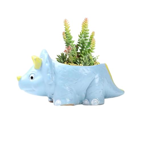 Cokbyavla Dinosaurier-Form Keramik Sukkulenten Pflanzgefäße Kleine Pflanzgefäß Blume Bonsai Pflanze Dino Töpfe Vase Behälter Kaktus Desktop Tier Dekoration Stifthalter Kinderzimmer Töpfe (C) von Cokbyavla