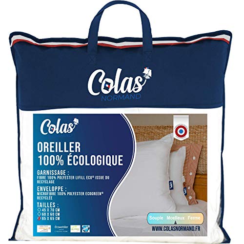 Colas Normand Kissen, umweltfreundlich, 65 x 65 cm, Umschlag und Füllung aus recycelten Flaschen, Mikrofaser, weich, seidig und komfortabel, sorgfältige Verarbeitung von COLAS NORMAND