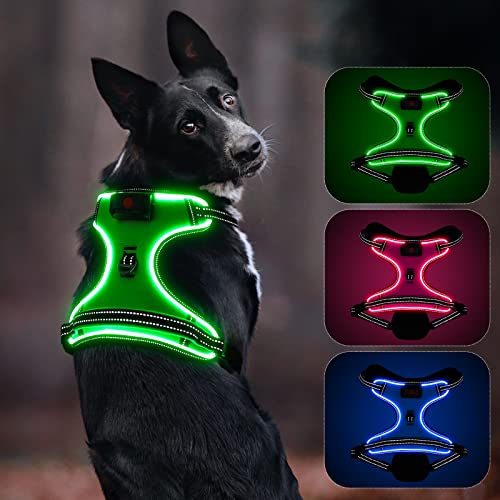 Leuchtendes Hundegeschirr, Colaseeme Anti Zug Hundegeschirr mit Reflexstreifen und Kontrolle Verstellbar Geschirr, LED Hundegeschirr Wieder, aufladbares Beleuchtetes Hundegeschirr, Grün XS Leuchtendes Hundegeschirr, Colaseeme Anti Zug Hundegeschirr mit Reflexstreifen und Kontrolle Verstellbar Geschirr, LED Hundegeschirr Wieder, aufladbares Beleuchtetes Hundegeschirr, Grün XS von Colaseeme