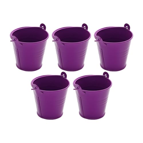 Colcolo 5X Kleine Metalleimer Eiskübel mit Griff Party Favors Container Tragbarer Eimer Rustikales Handwerk Robuste Süßigkeiten Metallvasen, Lila von Colcolo