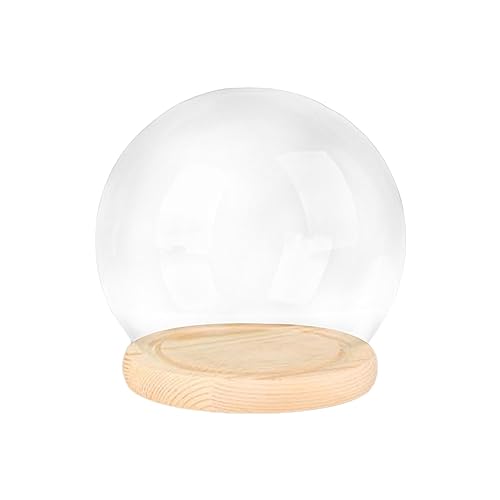 Colcolo Glaskuppel mit Sockel, transparente Terrariumssockel, Cloche-Glockenglas-Vitrine für das Heimbüro, 15 cm Holzsockel Colcolo Glaskuppel mit Sockel, transparente Terrariumssockel, Cloche-Glockenglas-Vitrine für das Heimbüro, 15 cm Holzsockel von Colcolo